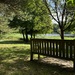 Bench overlooking a lake 