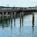 Ryde Pier