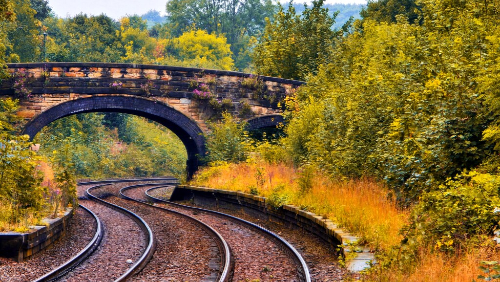 249/366 - Chapeltown Station, Sheffield by isaacsnek