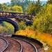 249/366 - Chapeltown Station, Sheffield