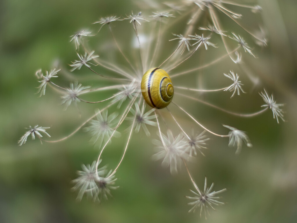 In botanical garden by haskar