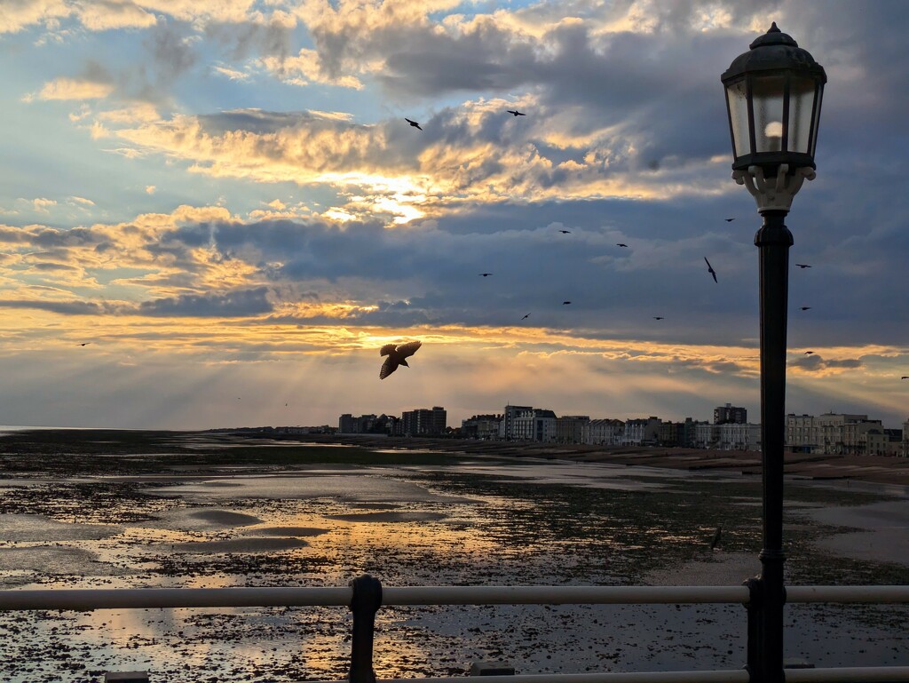 Low tide - Worthing Pier by 4rky