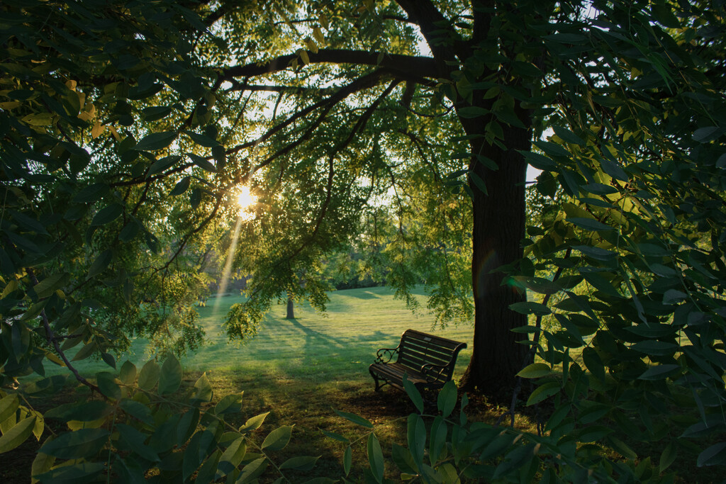 Bench At Sunset by maggierileyphoto