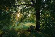 5th Sep 2024 - Bench At Sunset