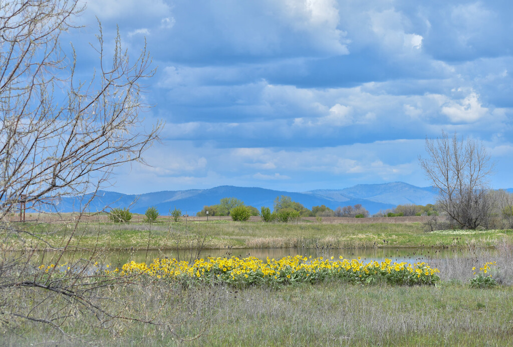 Montana Rural Vista by bjywamer