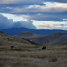 On The Bison Range...