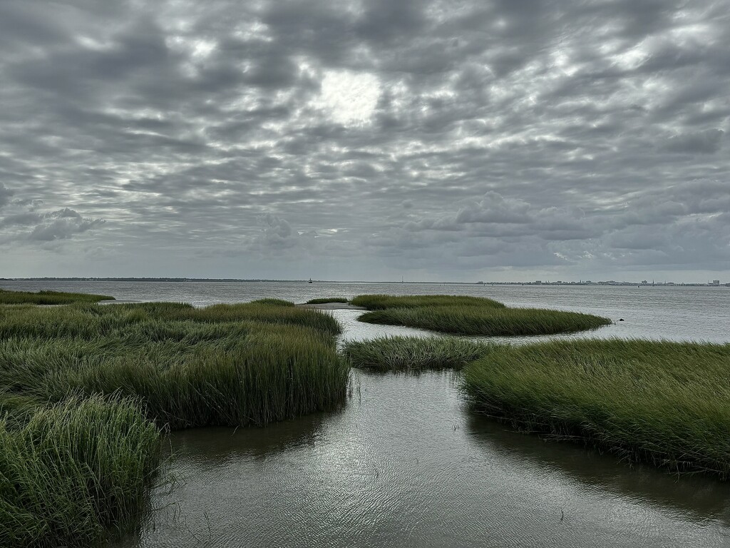 A cloudy, windy day overlooking Charleston Harbor and the marshes by congaree