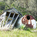 Dunny and Water Tank