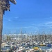 Busy Marina 