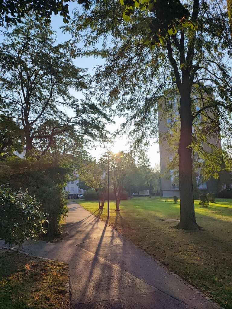 The mornings became so fresh and lovely by nami