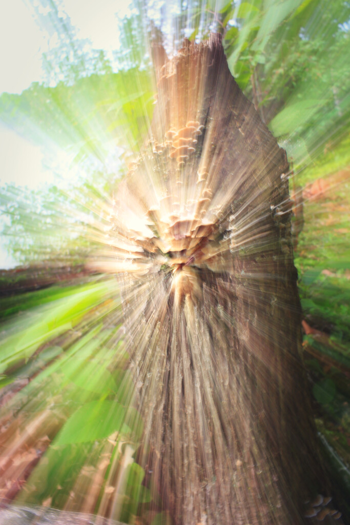 ICM Journey 13 - Stump Monster by juliedduncan