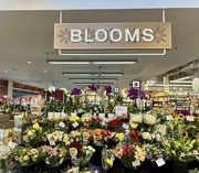 5th Sep 2024 - Blooms