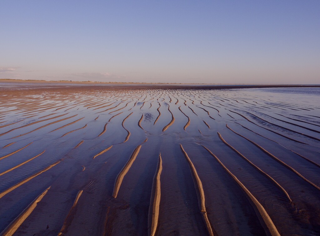 Light And Shadow At Low Tide P9043443 by merrelyn