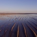 Light And Shadow At Low Tide P9043443 by merrelyn