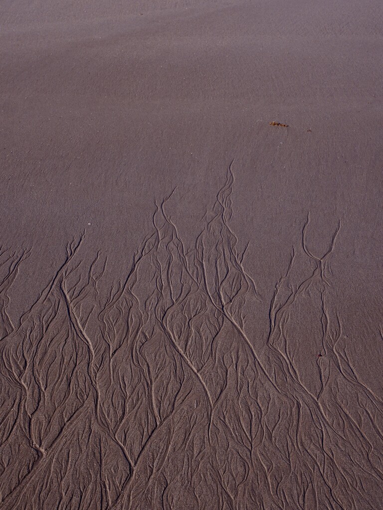 Patterns In The Sand P9053518 by merrelyn