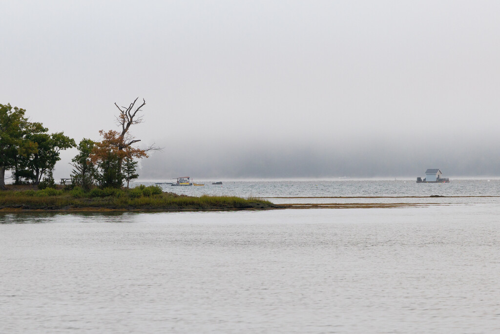 Foggy Morning by jpcaron