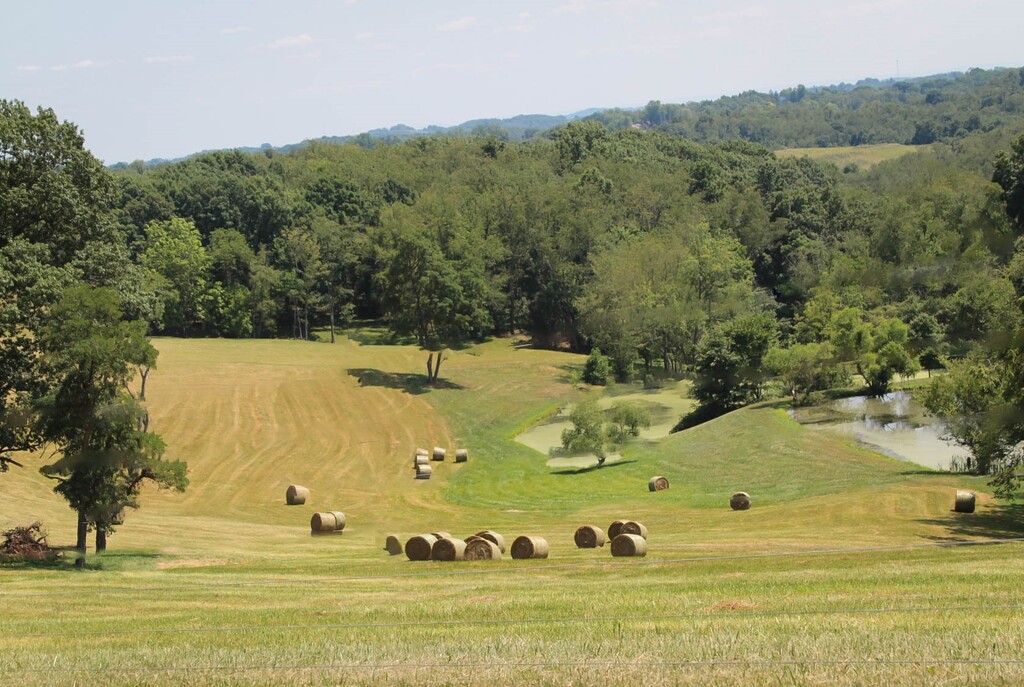 Bales of hay by mittens