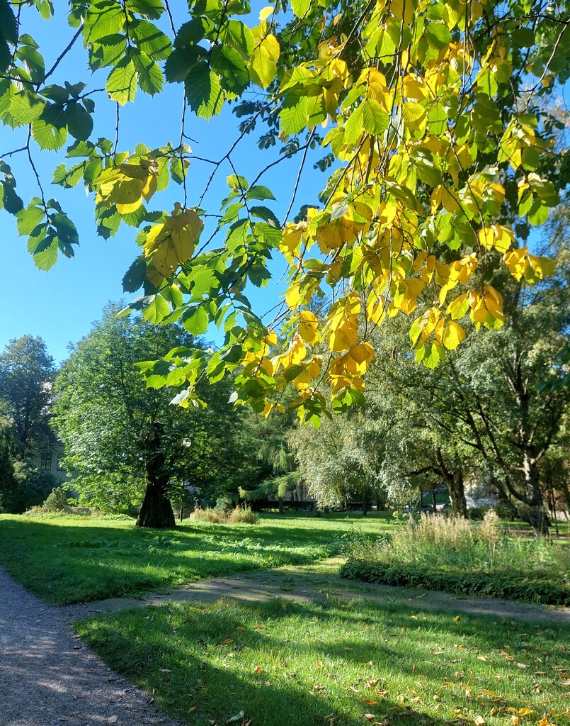 A hint of Autumn by busylady