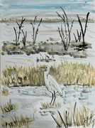 2nd Sep 2024 - Egret