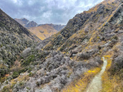 7th Sep 2024 - Sawpit Gully