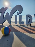 5th Sep 2024 - Wild Vacation