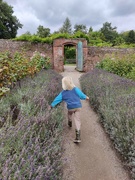 25th Aug 2024 - Calke Abbey