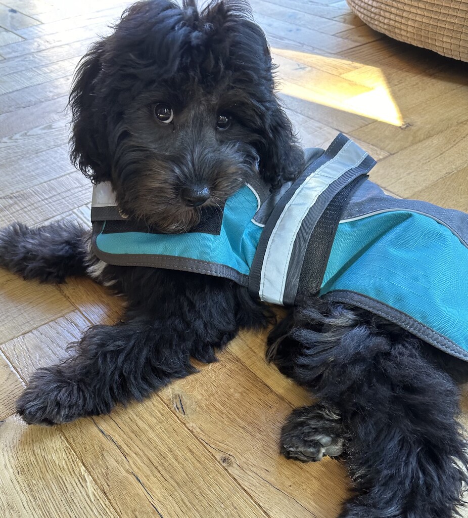 Rocking my new raincoat  by wendystout