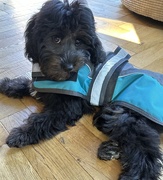 6th Sep 2024 - Rocking my new raincoat 