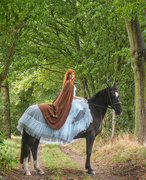 6th Sep 2024 - Darcie and Gracie in the Woods 