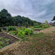 5th Sep 2024 - Allotment