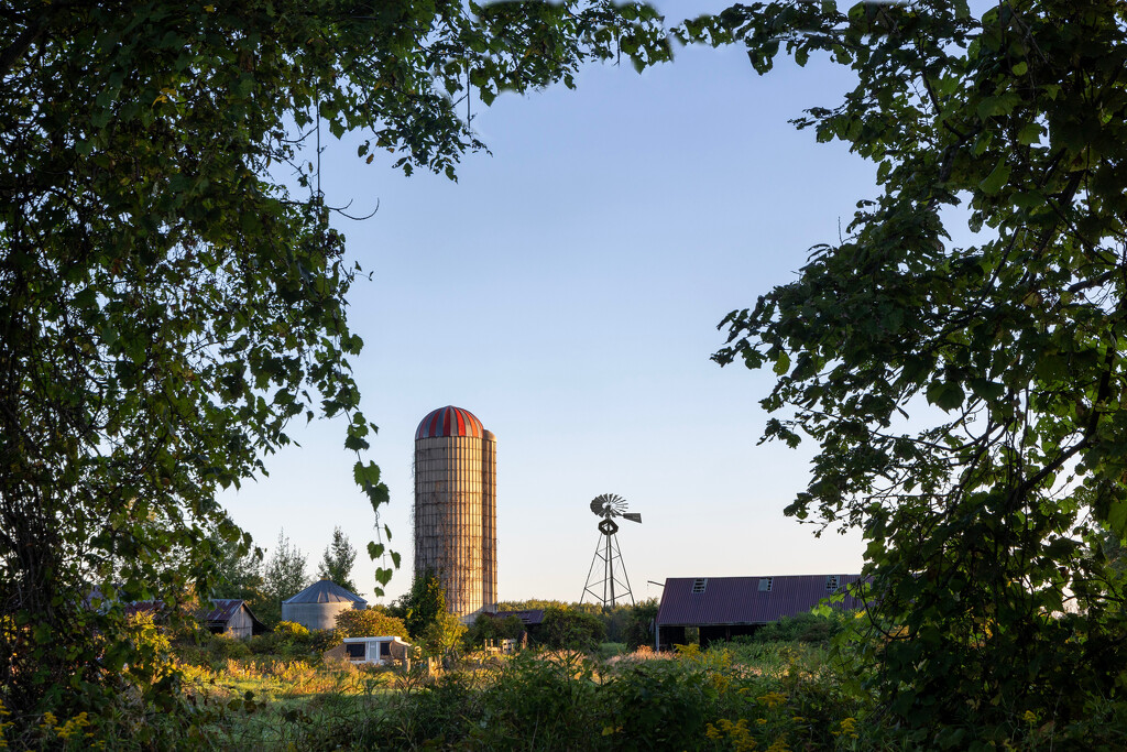 Balsam Lake Farm by pdulis