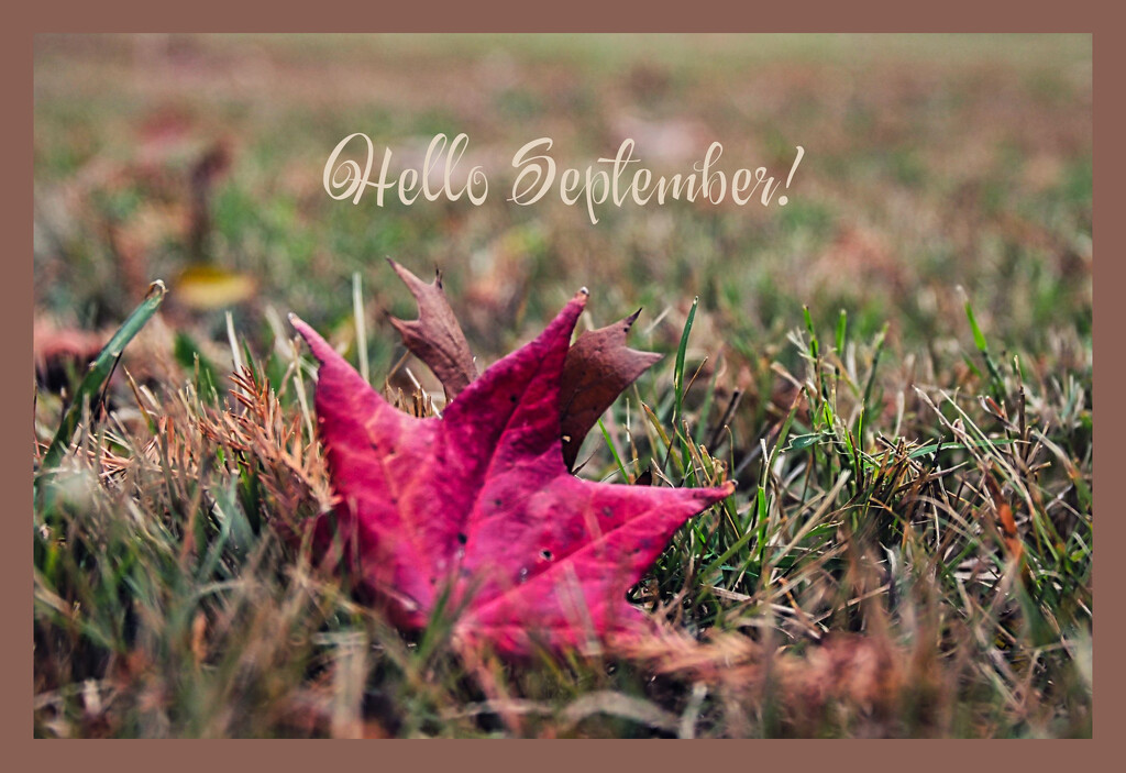 September by judyc57