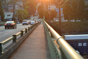 5th Sep 2024 - Crossing in the Golden Hour