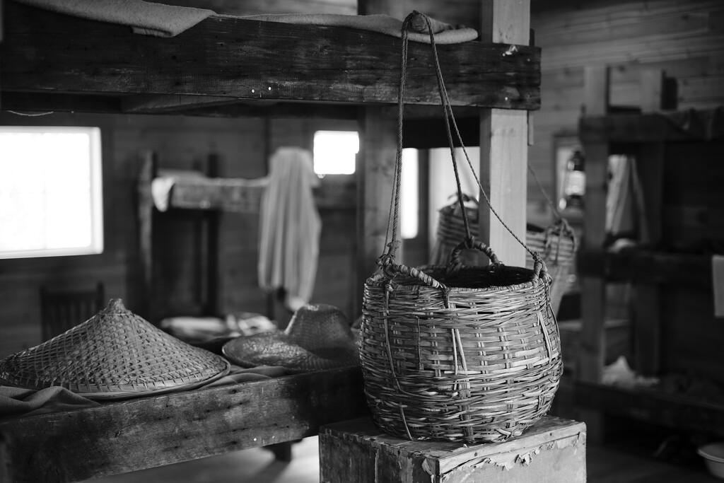 Shoulder Pole basket and Coolie Hat by cdcook48