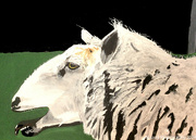 7th Sep 2024 - Sheep (painting)