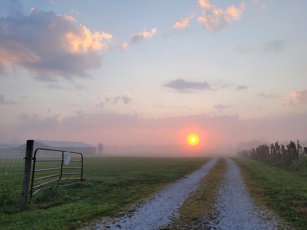 Misty morning sunrise by scoobylou