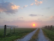 6th Sep 2024 - Misty morning sunrise