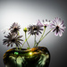 Daisies in a glass vase