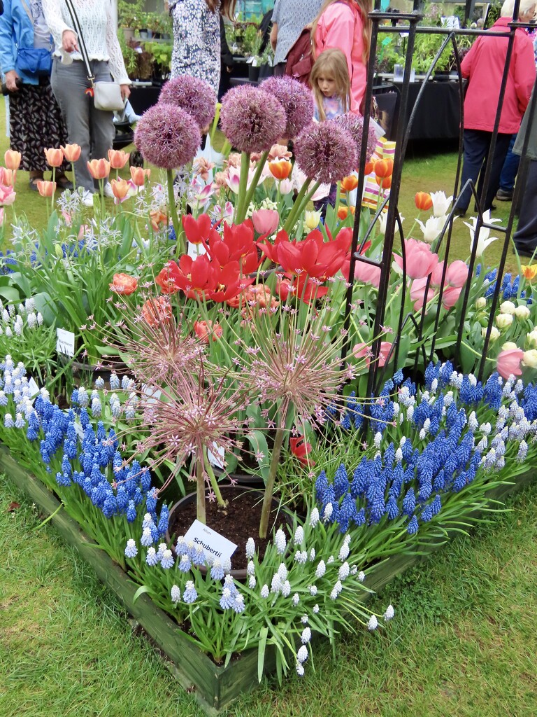 Colour at RHS Wisley. by orchid99