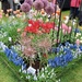 Colour at RHS Wisley.