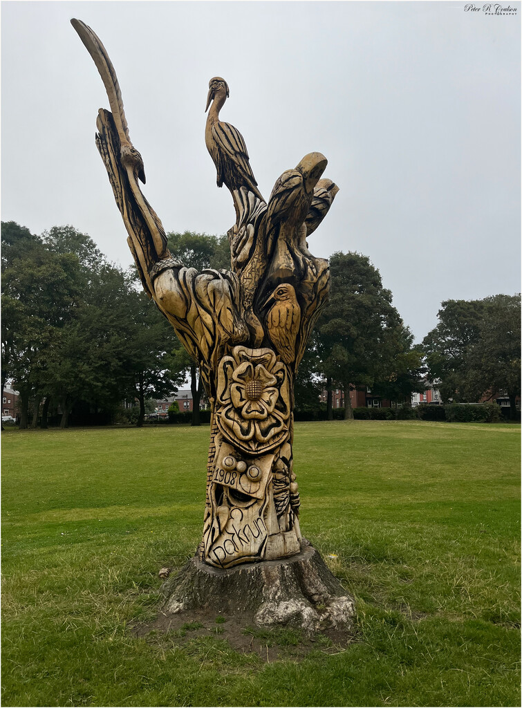 Tree Carving by pcoulson