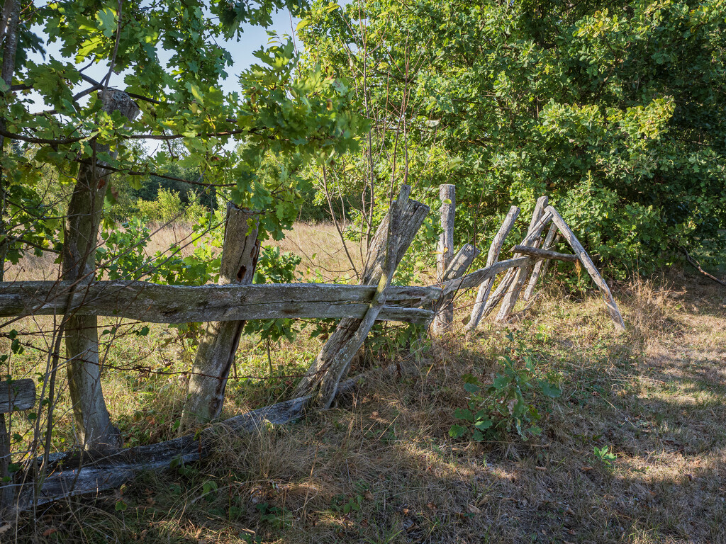 An old fence by haskar