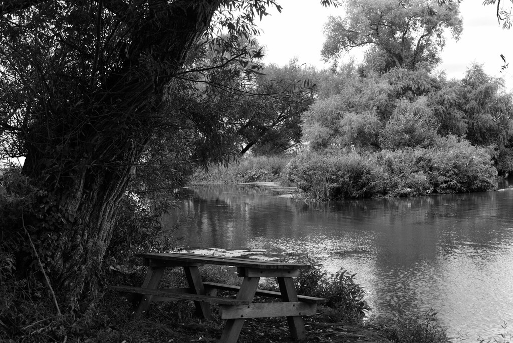 Golden Hill Creek sooc by darchibald