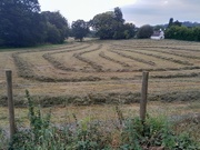 7th Sep 2024 - Glebe fields