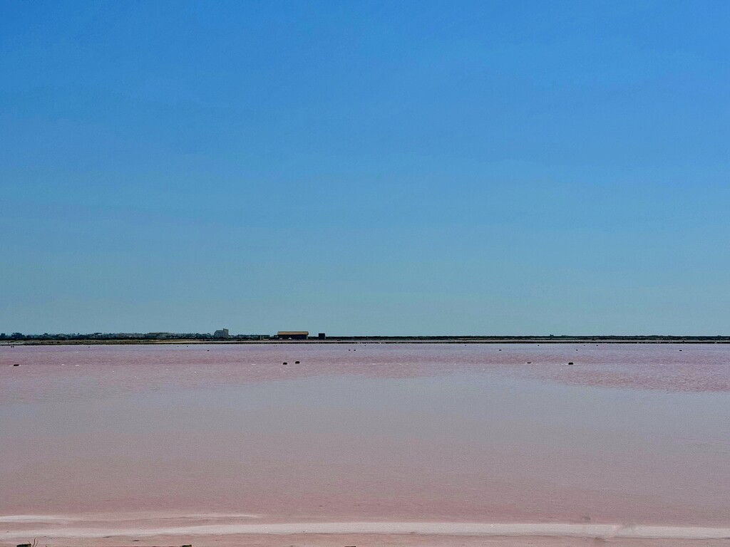 Blue and pink.  by cocobella