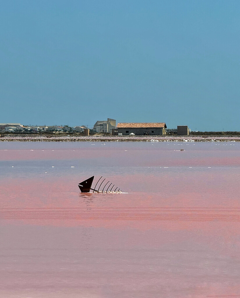 Pink salted sea.  by cocobella