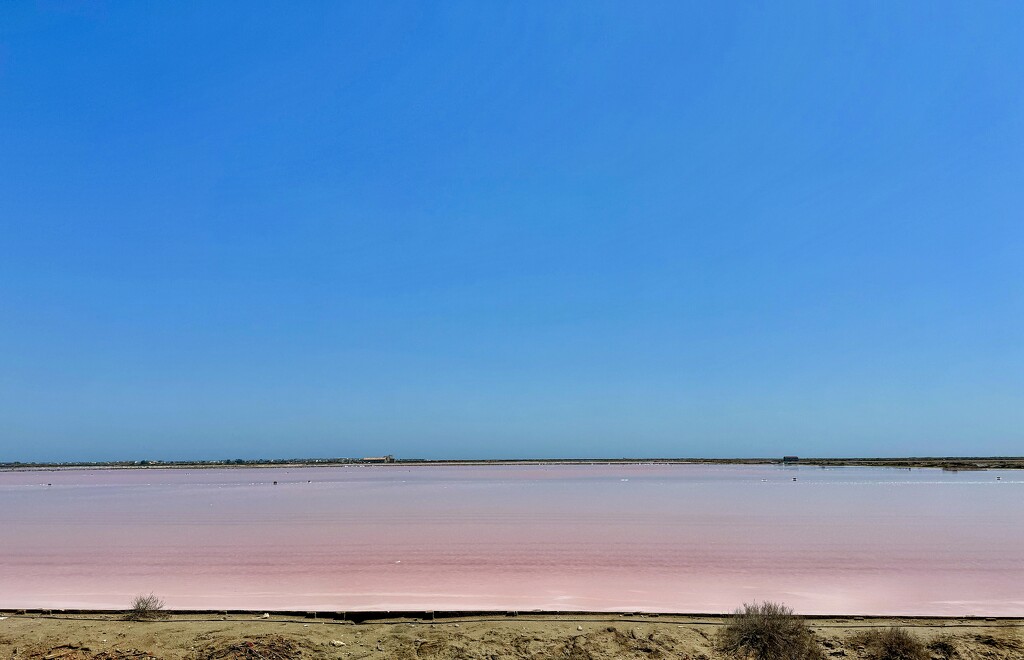 Les salins de Saint-Martin.  by cocobella