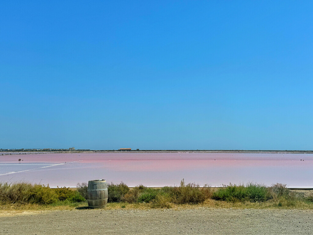 Pink in between.  by cocobella