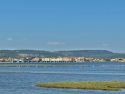 6th Aug 2024 - Can you spot the flamingos ?  