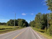 28th Aug 2024 - Walking The Home Road